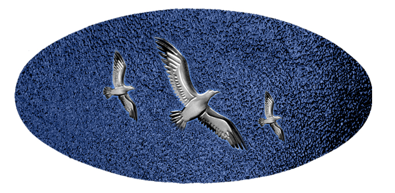 G5000 Horizontal Birds on Shimmer Blue PROOF